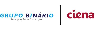 GRUPO BINARIO / CIENA